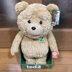 2026年最新】Ted テッド おしゃべりぬいぐるみの人気アイテム - メルカリ