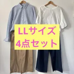 レディース　Dazy terawear emu カジュアルセット LLサイズ