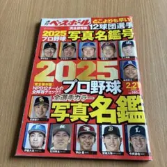 Item thumbnail for item 6861197a-3ef9-4547-b825-362c3eaff1c7