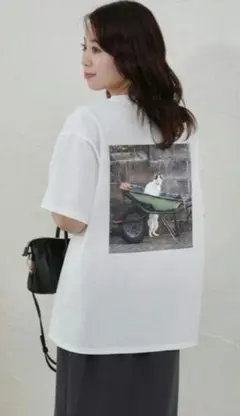 【新品未使用】沖昌之 猫 Tシャツ Mサイズ ユニセックスのサムネイル