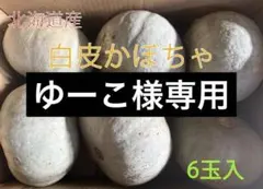 【ゆーこ様専用】北海道産白皮かぼちゃ（雪化粧）6玉入約10kg