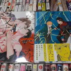 8商業 BL 2冊で 680円までのセットでしたら3組購入で1200円