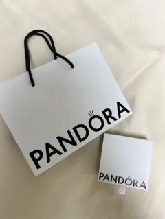 2026年最新】ホワイトパンドラの人気アイテム - メルカリ