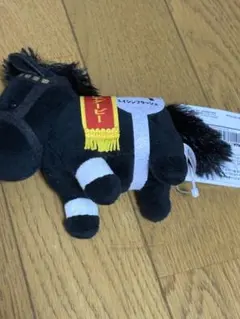 Item thumbnail for item 2f25dc98-fac6-443c-8c39-85a4b3cf59c3