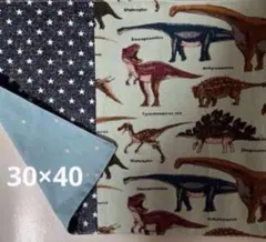 リバーシブルランチョンマット★約30×40