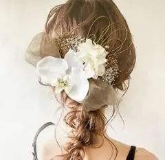 胡蝶蘭 ヘアピン