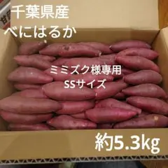 ミミズク様専用　千葉県産　べにはるか　さつまいも　SSサイズ 約5.3㎏