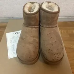 UGG Classic Short chestnutムートンブーツ