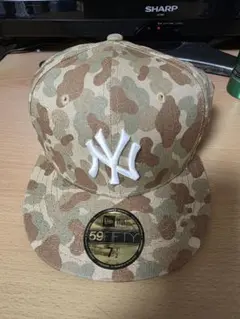 Item thumbnail for item e441a2ae-b022-40f3-9384-e4e85e711bbc