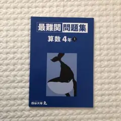 roppi様 リクエスト 2点 まとめ商品