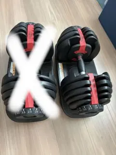 RIORES 可変式ダンベル 24kg ①のサムネイル