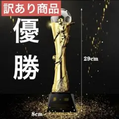 大事な部分が..❗️表彰トロフィー 優勝トロフィー 表彰用 競技優勝賞品サッカー☻