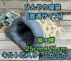 Item thumbnail for item 96aaf9df-4926-4afe-bd52-b040fa0806c9