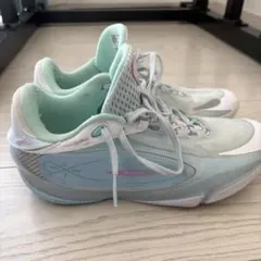 バスケットボールシューズ WADE 808 5 ULTRA 綿菓子26.5cm - メルカリ
