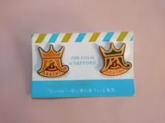 【9/30まで値下】嵐「Scene～君と僕の見ている風景～」 ピンバッジ　札幌