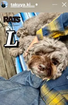 RATS チェック柄ネルシャツ Lサイズ　長瀬智也　長瀬　キムタク　木村拓哉 RATS チェック柄ネルシャツ Lサイズ 長瀬智也 長瀬 キムタク