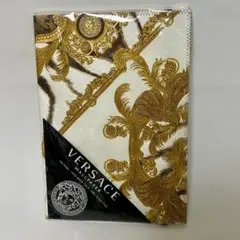 Item thumbnail for item b01ddace-8b62-4785-93c8-52cd7b5e95fb