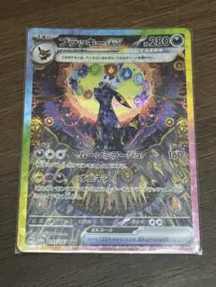 ブラッキーex SAR 美品