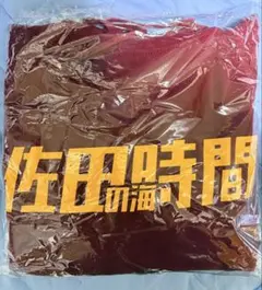 【寄付対象品】佐田の海関 佐田時間 パーカー(Mサイズ)