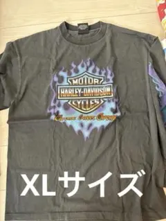 ☆超希少☆【HarleyDavidson】GREENFLAME(LT0004)