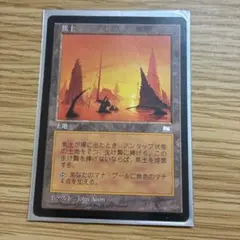 マジックザギャザリング 鋭き砂岩 日本語版foil1枚 - メルカリ