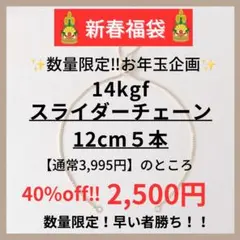 ma-y様 リクエスト 2点 まとめ商品