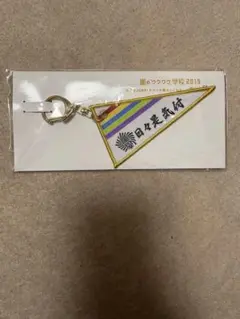 嵐 ワクワク学校 日々是気付 ペナント型キーホルダー