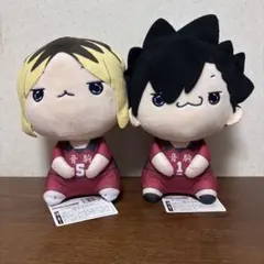 2025年最新】孤爪研磨 ぬいぐるみ もちぴこの人気アイテム - メルカリ