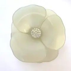 アレクサンドルドゥパリ　カメリアバレッタ　ペールグリーン