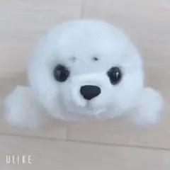 海遊館 あざらし ぬいぐるみ