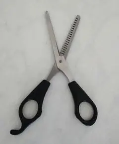 Item thumbnail for item 3a7c7d74-67dd-4a29-8b46-1b0791292e79