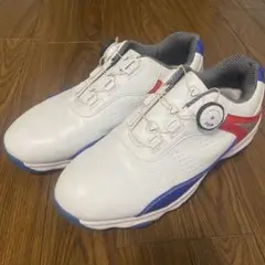 Item thumbnail for item 509e890f-cbaf-4357-9771-67191b952623