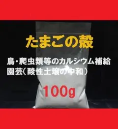 Item thumbnail for item ff702527-22a7-4a2c-8cb5-6f951446d94c