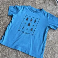 mont-bell 昆虫イラスト Tシャツ 120