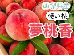 山梨県産 硬い桃 夢桃香 秀品のサムネイル