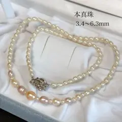 【テリ◎】 本真珠 マルチカラー 3.4-6.3mm ベビーパール ネックレス
