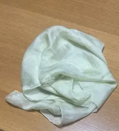 淡い緑色 シルクの春ストール