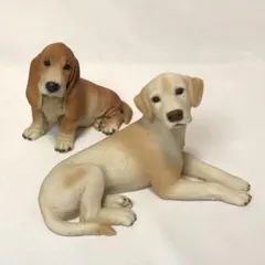 2026年最新】カスターニャ 犬の人気アイテム - メルカリ