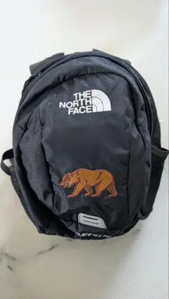 THE NORTH FACE リュック ブラック クマ刺繍