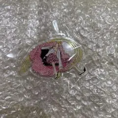 ONEPIECE 一番くじ アクリルスタンド