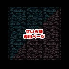 せいら様専用ページ