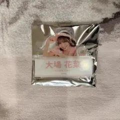 Item thumbnail for item 2b9d46df-57d1-4465-8e0d-df534b625947