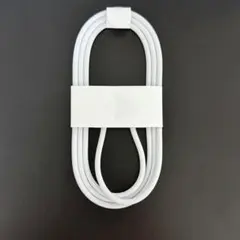 新品未使用 アップル純正 60W USB-C充電ケーブル（1m） 編み込み