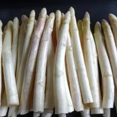 ホワイトアスパラガスB級品【700g】 露地栽培のサムネイル