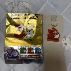 ポケモン 30周年ロゴマスコット ヒコザル キーホルダー