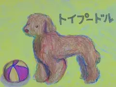 トイプードル ボール遊び 黄色【はがきサイズ・原画】