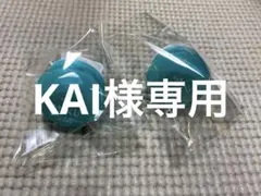 ※KAIさま専用　セカライ4th リングライト2点【初音ミク】