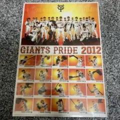 非売品 ジャイアンツクリアファイルセット 12枚入 2025年最新】ジャイアンツ クリアファイルの人気アイテム - メルカリ