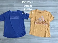 150㎝女の子　Tシャツ2枚　adidas PUMA アディダス  プーマ