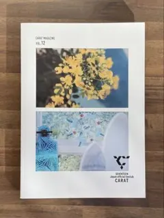 CARAT MAGAZINE VOL.12